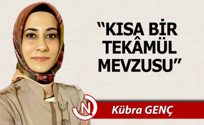 "KISA BİR TEKÂMÜL MEVZUSU"