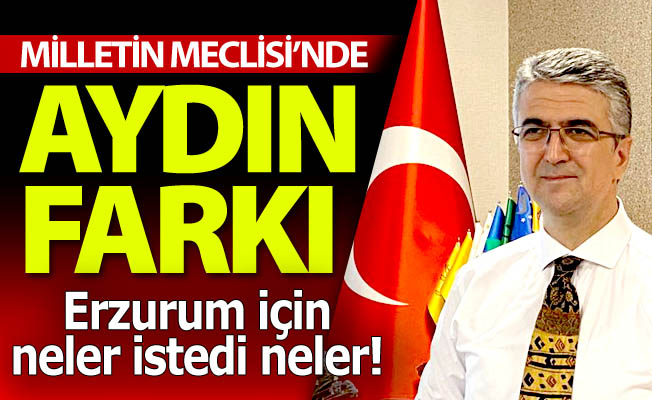 TBMM'de Kamil Aydın farkı