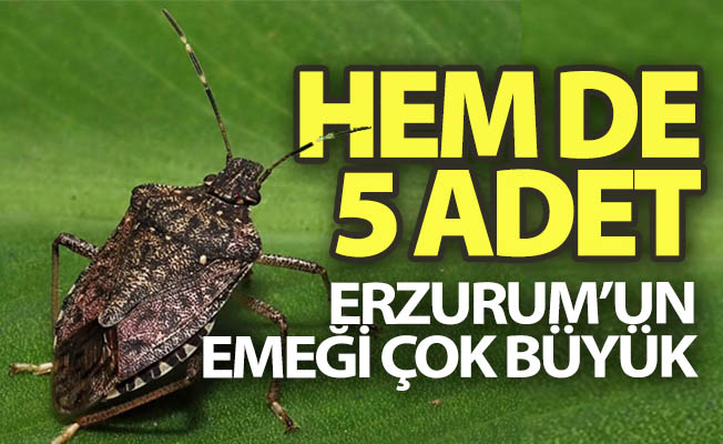 Erzurum'dan bilim dünyasına büyük katkı