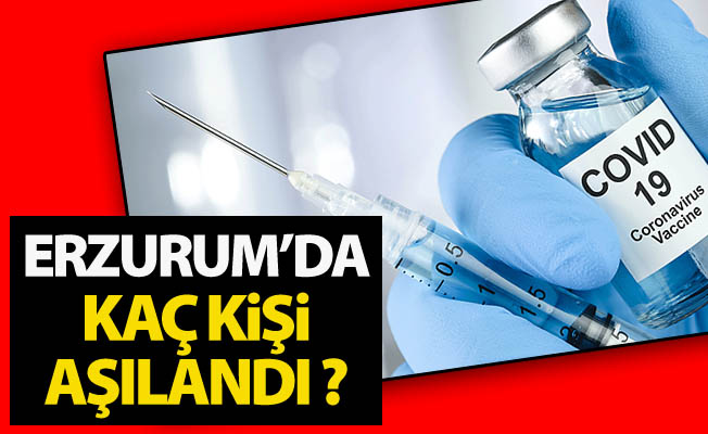 Erzurum'da kaç kişi aşılandı?