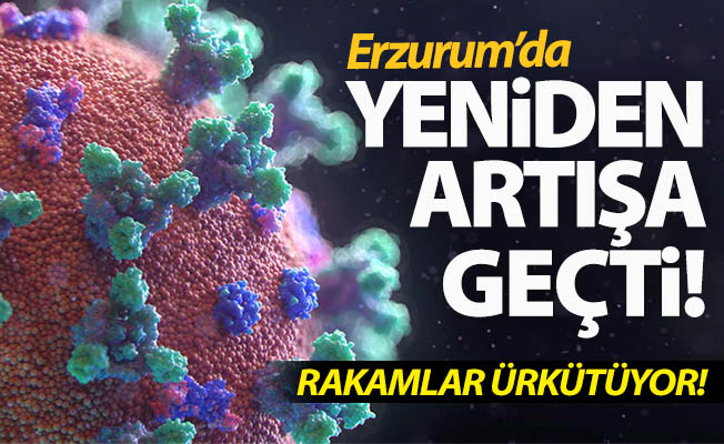 Erzurum'da yeniden artışa geçti!