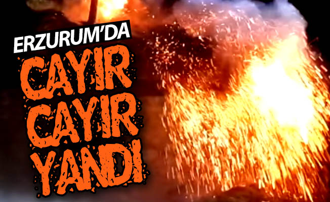 Erzurum'da cayır cayır yandı! Erzurum'da cayır cayır yandı!
