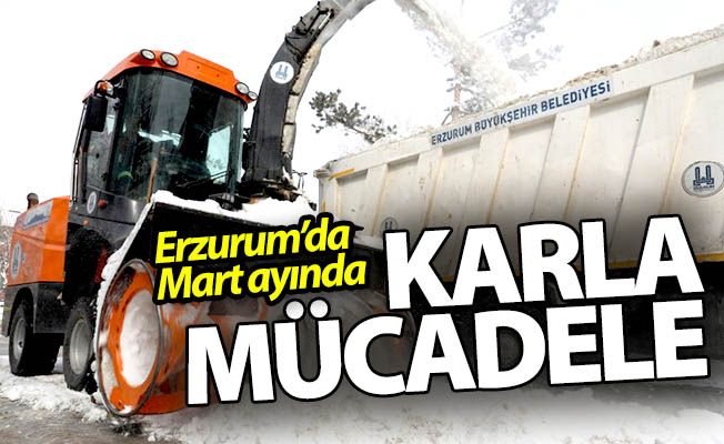 Erzurum kışı Mart'ta yaşıyor!