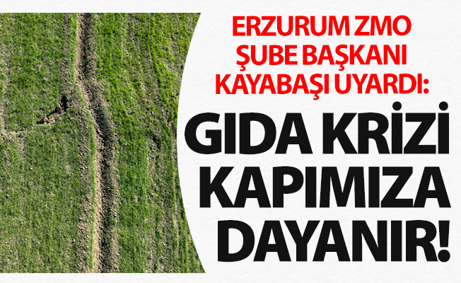 Erzurum ZMO'dan uyarı