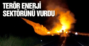 Terör, enerjiyi vurdu!