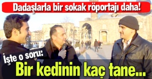 Bir kedinin kaç tane...?