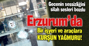 Erzurum'da kurşun yağmuru!