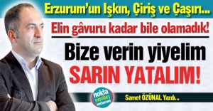 Elin gâvuru kadar olamadık!