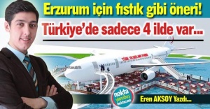 Erzurum'a fıstık gibi öneri!