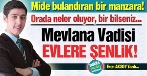 Mevlana Vadisi evlere şenlik!