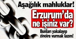 Aşağılık mahluklar!