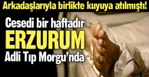 Birbirlerini öldürmeye başladılar!
