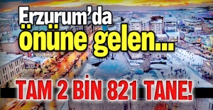 Erzurum'da bir rekor daha!