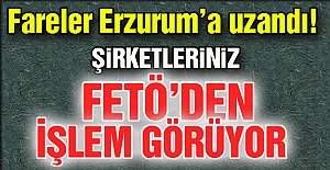 Fareler Erzurum'a uzandı!