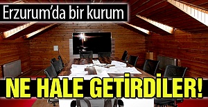 Görenler hayrete düşüyor!