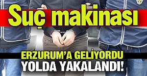 Adam resmen suç makinası!