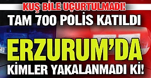 Erzurum'da kuş bile uçamadı!