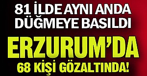Erzurum'da 68 kişiye gözaltı!