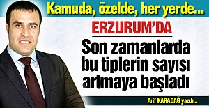 Erzurum'da da sayıları artıyor!