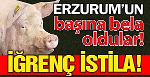 Erzurum'da iğrenç istila!