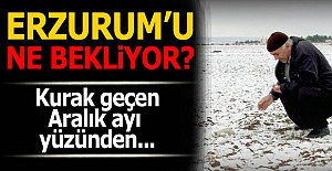 Erzurum'u ne bekliyor?