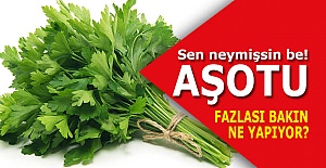Sen neymişsin be!..