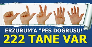 Tam 222 tane var!