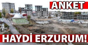 Erzurum için Nokta Anket