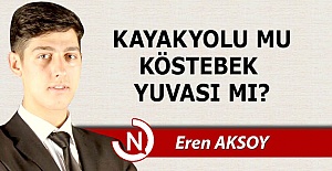 Kayakyolu mu, köstebek yuvası mı?..