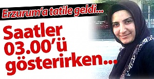 Erzurum'a tatile gelmişti!..