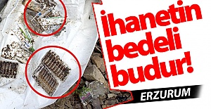 İhanetin bedelini canlarıyla ödediler!..