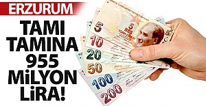 Tamı tamına 955 milyon lira!..