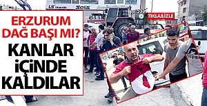 Erzurum dağ başı mı?