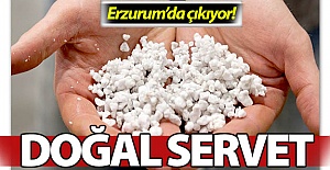 Dünyayı artık Erzurum ısıtacak!..