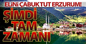 Cemre Tur'la tam zamanı!