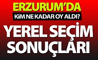 Erzurum'da kim ne kadar oy aldı?