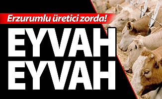 EYVAH EYVAH!