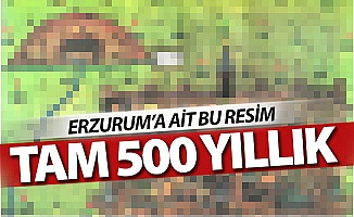 Bu resim tamı tamına 500 yıllık!