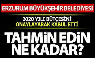 Tahmin edin ne kadar?