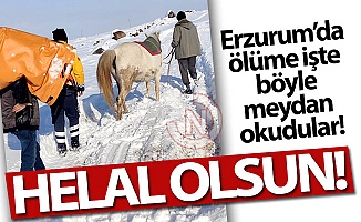 Ölüme böyle meydan okudular!