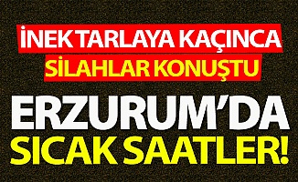Erzurum'da silanlar konuştu!