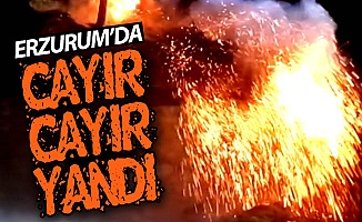 Erzurum'da cayır cayır yandı!