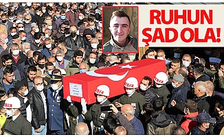 Ruhun şad ola yiğit!