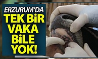Erzurum#039;da hiç rastlanmadı!
